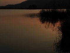 西の湖　夜明け　12月（非掲載写真）