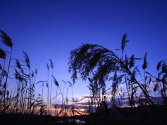 北の庄沢　夕暮れ　12月（非掲載写真）