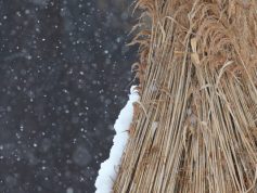 丸立に降る雪　3月（非掲載写真）
