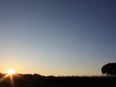 ヨシ原　夕日　8月（P12）